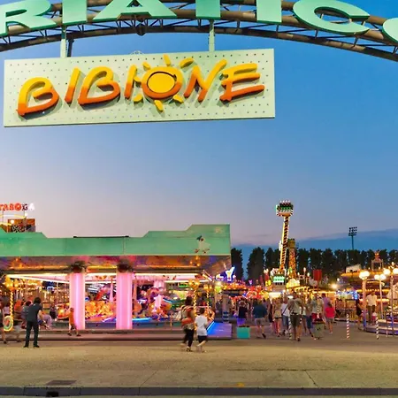 In 24411b * 비비오네