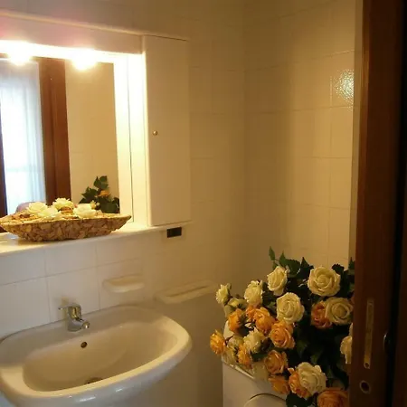 In 24411b * 비비오네